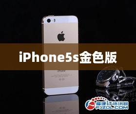 iPhone5s金色版  第1张