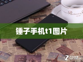 锤子手机t1图片  第1张