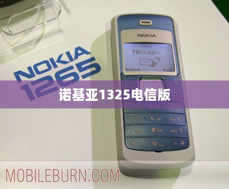 诺基亚1325电信版