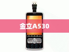 金立A530