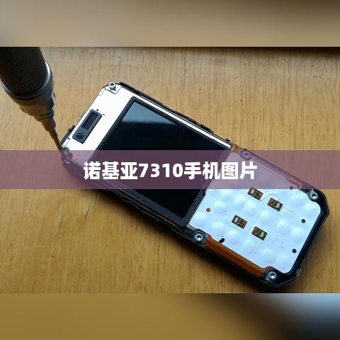 诺基亚7310手机图片  第1张