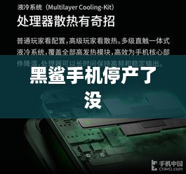 黑鲨手机停产了没