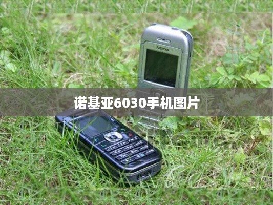 诺基亚6030手机图片
