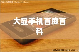 大显手机百度百科