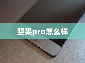 坚果pro怎么样