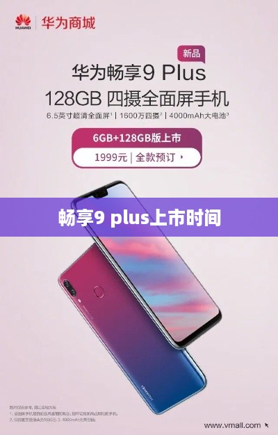 畅享9 plus上市时间  第1张