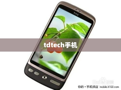 tdtech手机  第1张