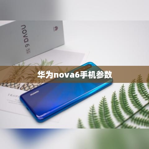 华为nova6手机参数  第1张