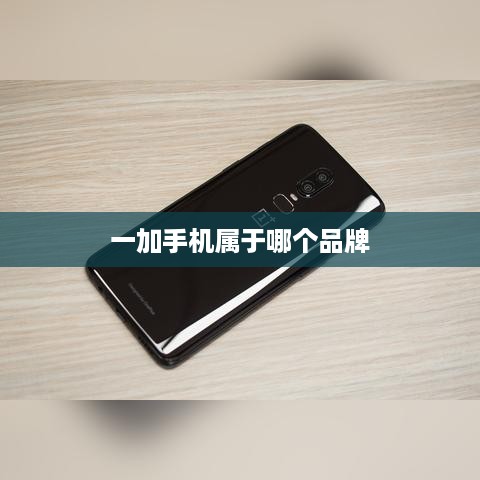 一加手机属于哪个品牌
