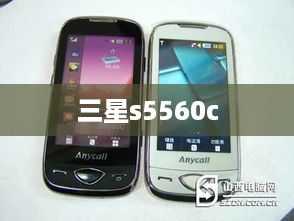 三星s5560c  第1张