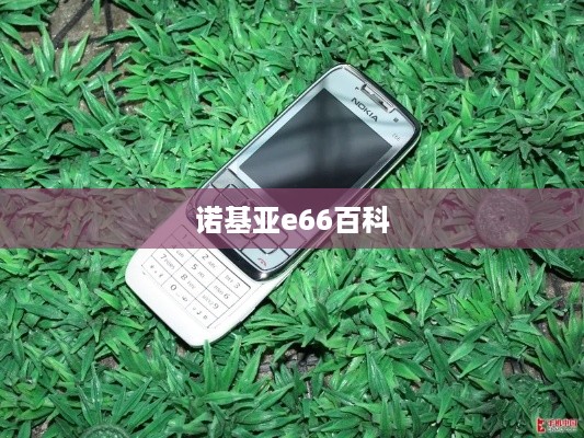 诺基亚e66百科