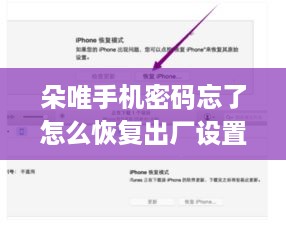 朵唯手机密码忘了怎么恢复出厂设置