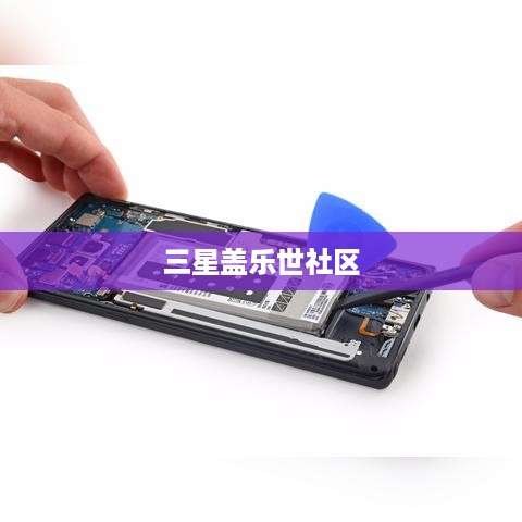三星盖乐世社区  第1张