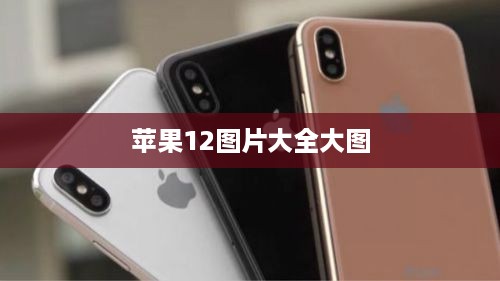 苹果12图片大全大图