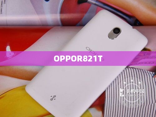 OPPOR821T  第1张