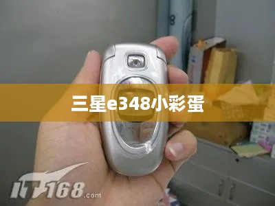 三星e348小彩蛋  第1张
