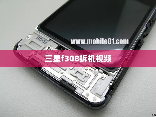 三星f308拆机视频