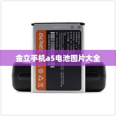 金立手机a5电池图片大全  第1张