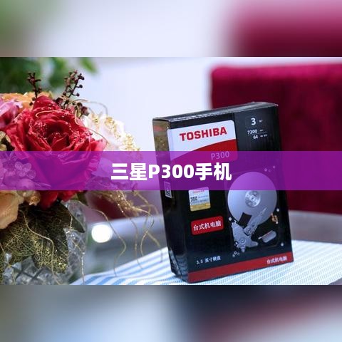 三星P300手机 第1张 三星P300手机 第1张