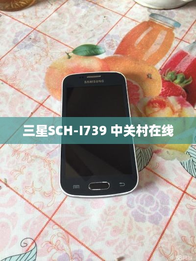 三星SCH-I739 中关村在线