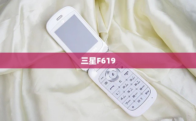 三星F619  第1张