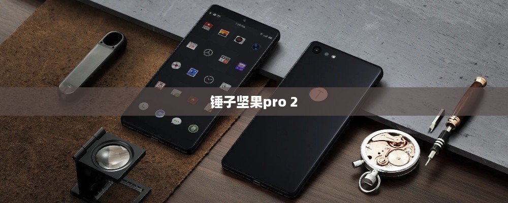 锤子坚果pro 2  第1张