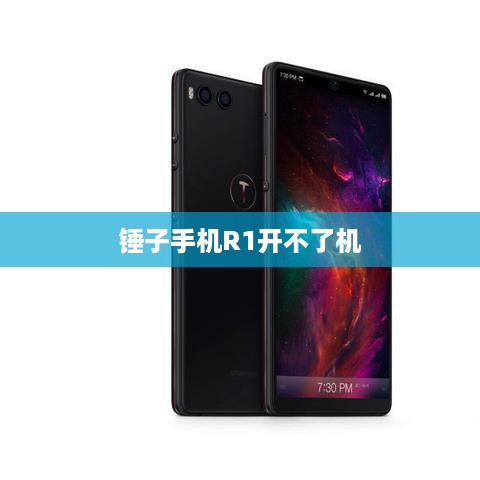 锤子手机R1开不了机