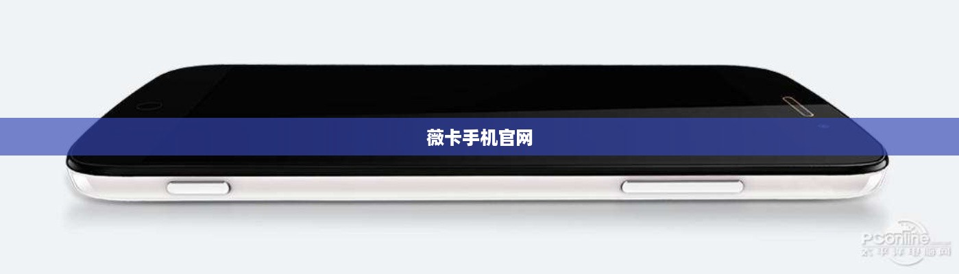 薇卡手机官网  第1张