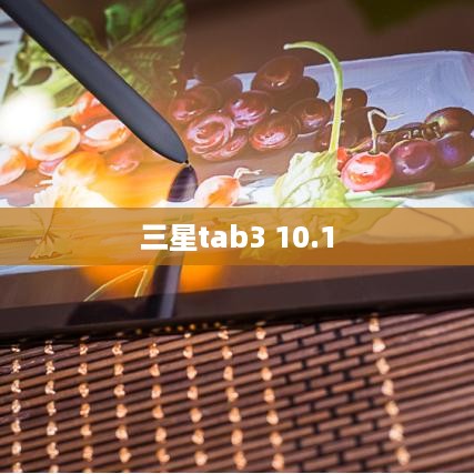 三星tab3 10.1