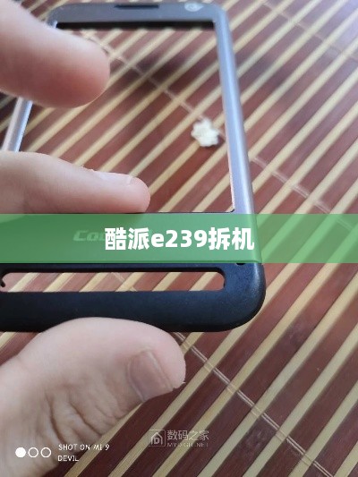 酷派e239拆机