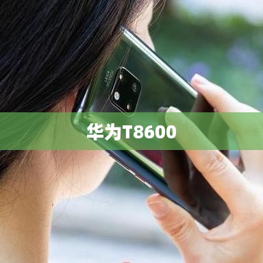 华为T8600  第1张