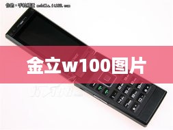 金立w100图片  第1张