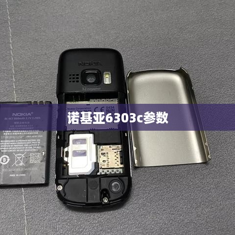 诺基亚6303c参数  第1张