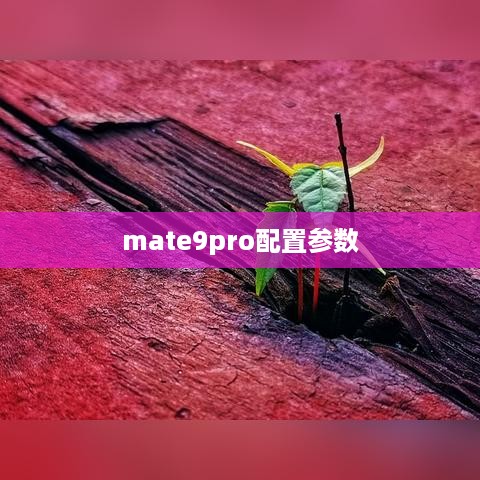 mate9pro配置参数  第1张