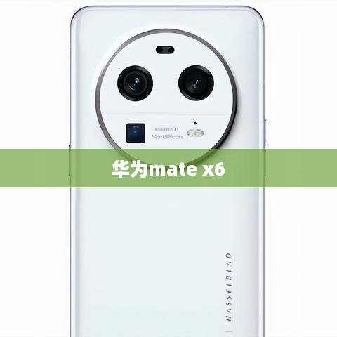 华为mate x6