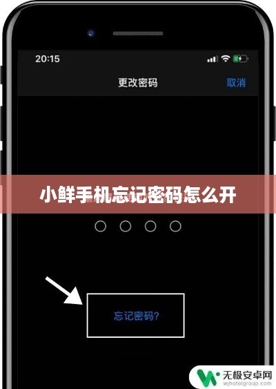 小鲜手机忘记密码怎么开