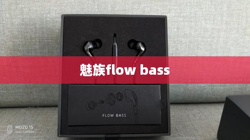 魅族flow bass  第1张
