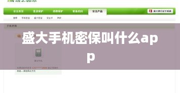 盛大手机密保叫什么app