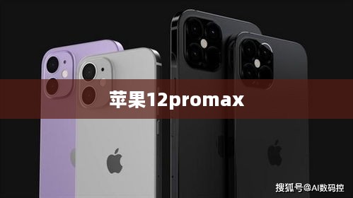 苹果12promax