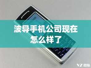 波导手机公司现在怎么样了  第1张