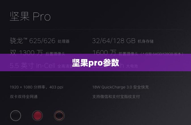 坚果pro参数
