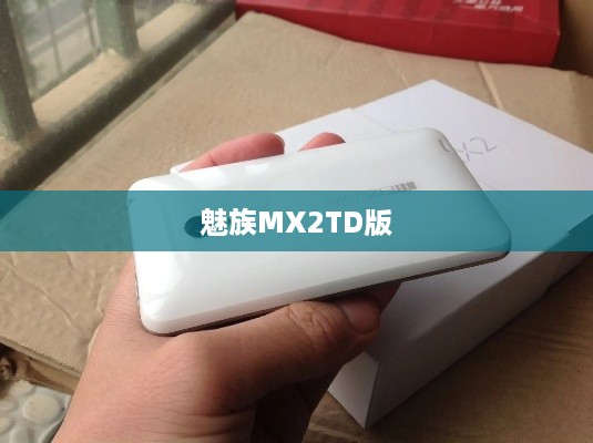 魅族MX2TD版