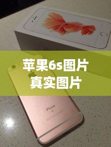 苹果6s图片真实图片  第1张