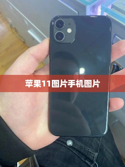 苹果11图片手机图片