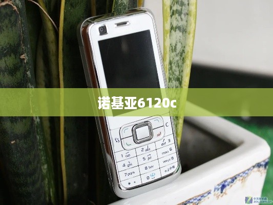 诺基亚6120c