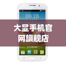 大显手机官网旗舰店