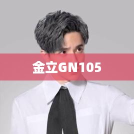 金立GN105