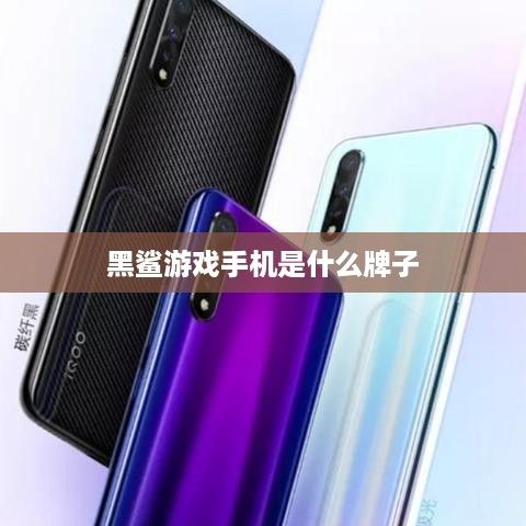 黑鲨游戏手机是什么牌子  第1张