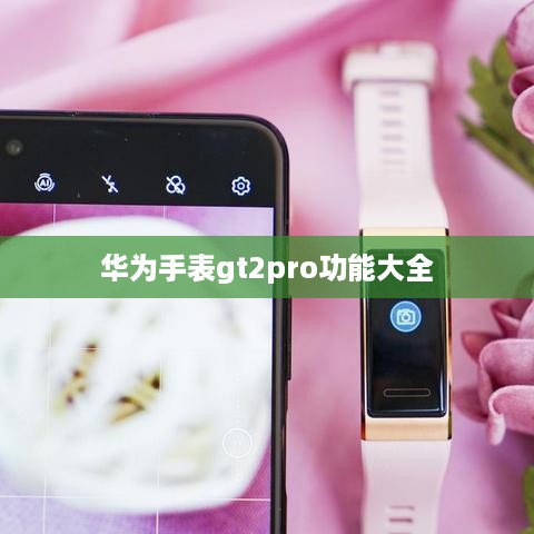 华为手表gt2pro功能大全