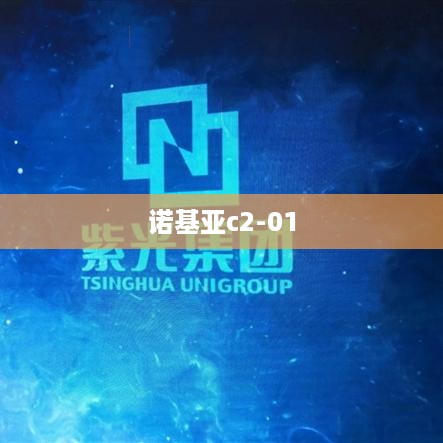 诺基亚c2-01